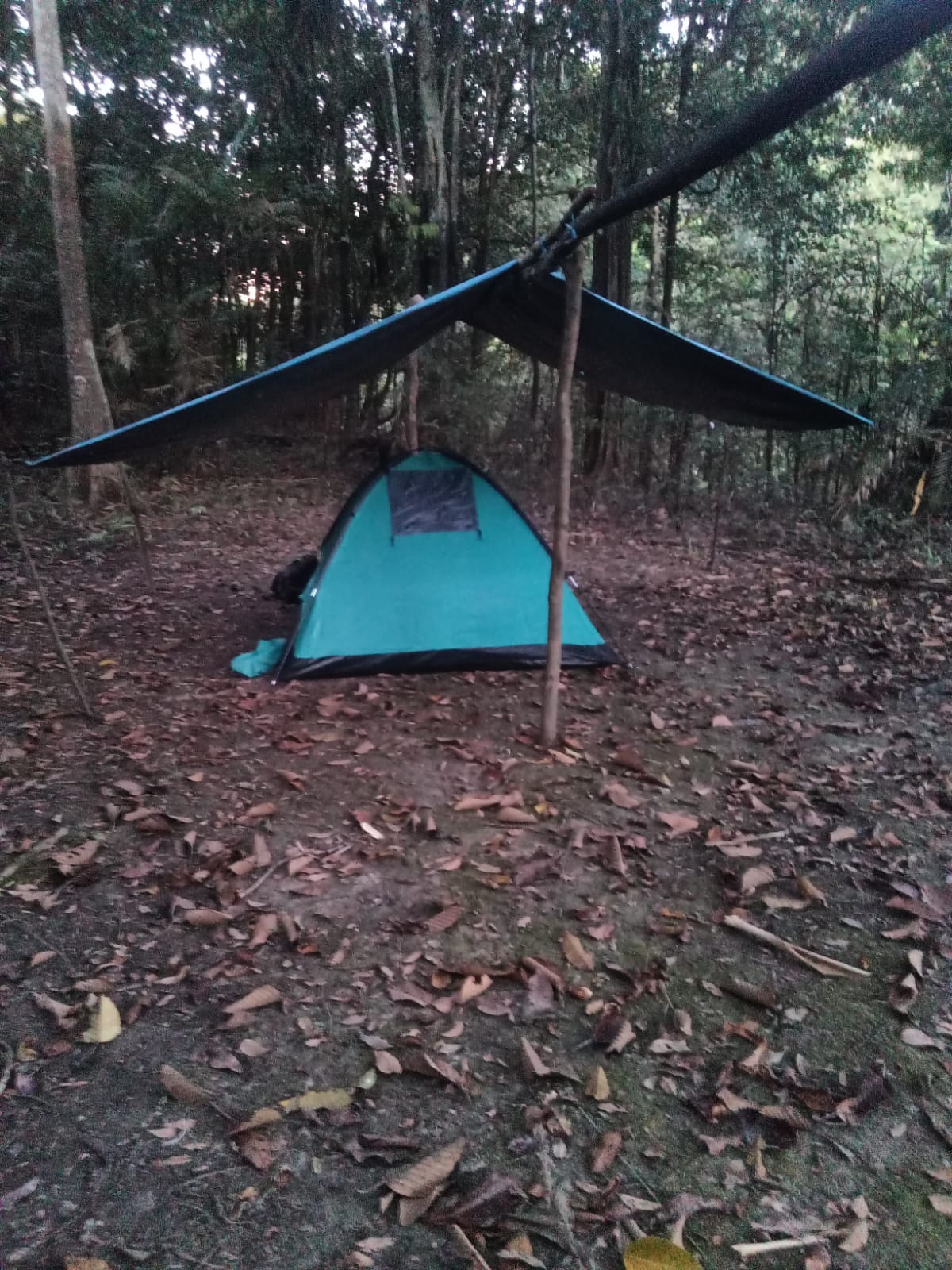 Camping en la Selva