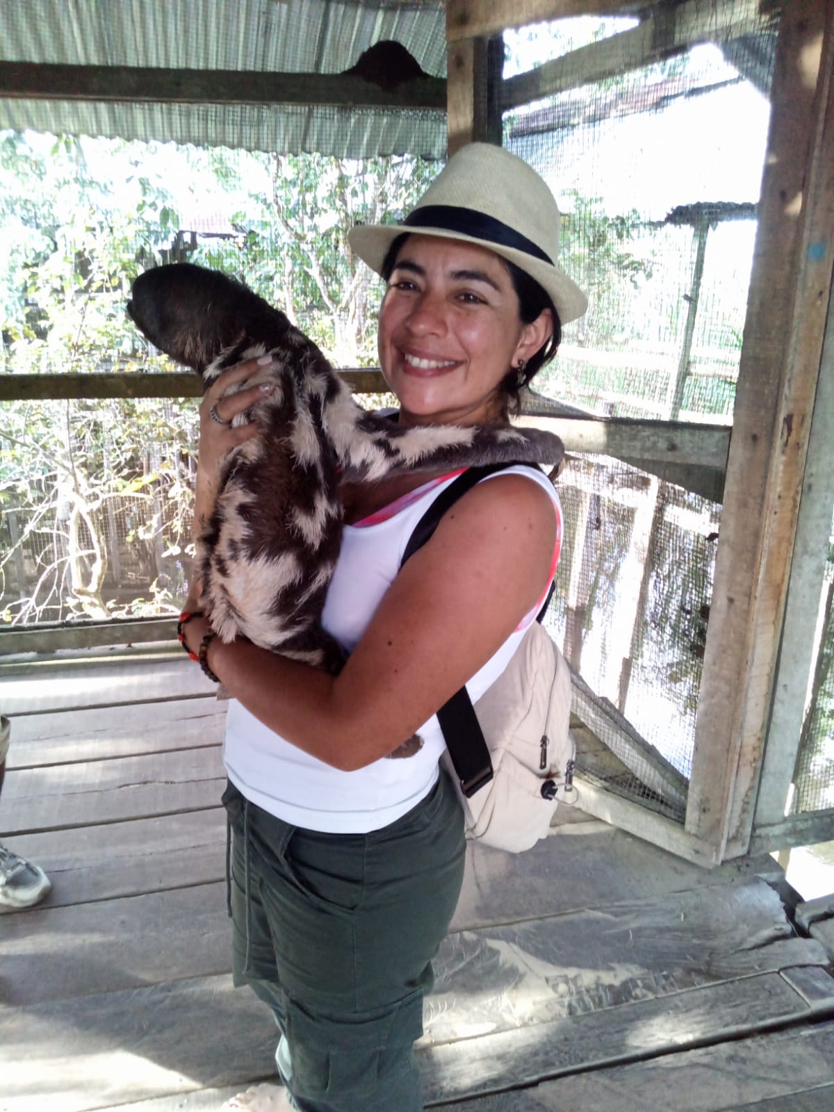 Observación del Perezoso