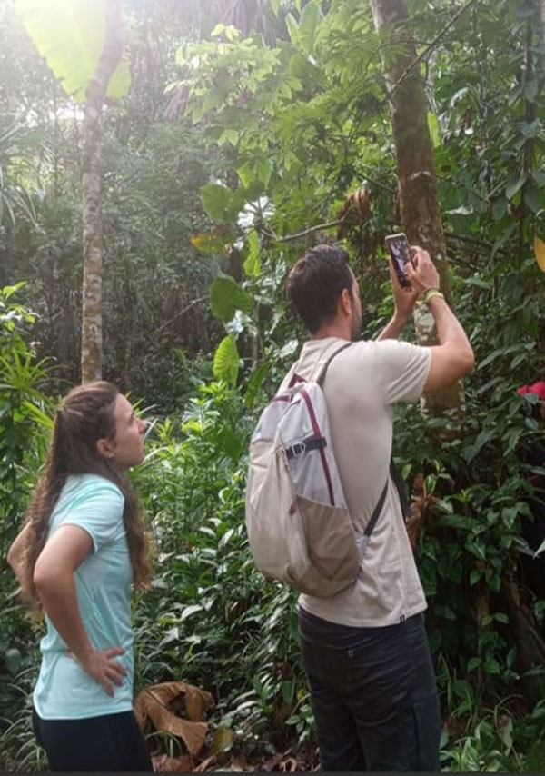 EXCURCIÓN DE CAMINATAS EN LA SELVA.
